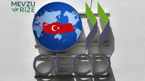 Türkiye, OECD Ülkeleri Arasında Reel Ücret Artışında İkinci Sırada: Yakıt Krizine Rağmen Hızla İlerliyor!