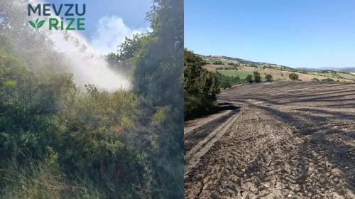 Balıkesir'de Beş Farklı Bölgedeki Zirai Yangınlar Söndürüldü!