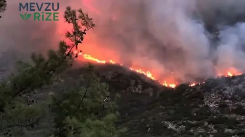 Yangın bölgesinde rüzgar ne kadar sürecek ve etkileri neler olacak?