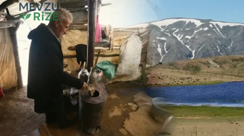 Muş Dağları'nda Göçerler, Dondurucu Soğuğa Rağmen Soba Yakıyor: 2.645 Metre Yükseklikte Mücadele!