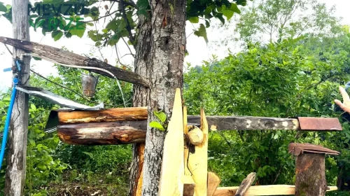 Rizelilerin Geleneksel Ayı Savarı: 'Carimangana' ile Kültürel Mirası Yaşatma Çabası