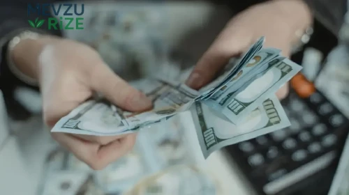Milyon Dolarlık Miras Hayalleri Suya Düştü: Aile Sırrı Gündemi Sarstı!