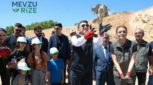 Tunceli'de Kene Sorununa Çözüm: 500 Keklik Doğaya İhtiyaç Duyduğunda Salındı!