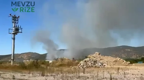 İznik'te Acil Durum: Çöplükte başlayan yangın, çevredeki çalılığı tehdit ediyor!
