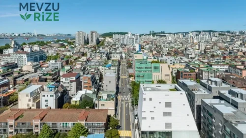 Hapjeong Artplex'te Sanat ve İşlevselliğin Birleşimi Güçleniyor: Seul'de Yenilikçi Yaklaşımlar Ön Planda!