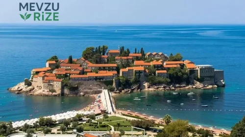 Vize Düzenlemesi: Türk Vatandaşlarına Yeni Tarih Belli Oldu!