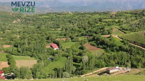 Bitlis'in Gizli Cennetine Ziyaretçi Yağmuru: Her Köşede Onlar Var!
