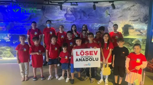 LÖSEV'in Yaz Okulu'nda Çocuklar Eğlenceli anlarla Dolu Bir Tatil Yaşıyor!