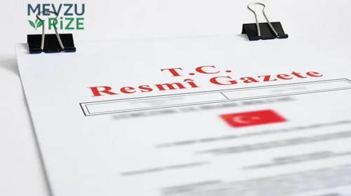 Resmi Gazete'de Bugün: 17 Temmuz 2026 Tarihli Önemli Kararlar Yayımlandı