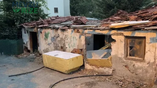 İş Yerinde Kanlı Sır: Arkadaş Katili, Boğarak Altınları Çaldı!