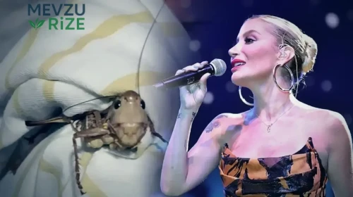 İrem Derici, Konserinde Dev Çekirgelere Yakalandı: Mikrofonu Uzatıp Adını Sordum