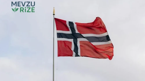 Norveç'te Orman Yangınları Kontrol Altına Alınamıyor: 80 Hektar Kül Oldu!