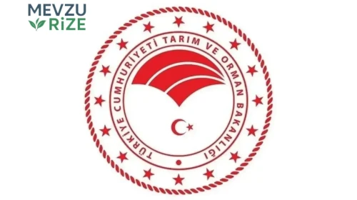 Tarım ve Orman Bakanlığı'nın 1874 Sözleşmeli Personel Alımı İçin Başvuru Tarihleri ve Kadro Dağılımı Belli Oldu!