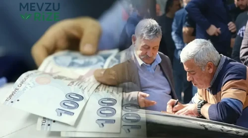 Son Dakika: En Düşük Emekli Maaşı Düzenlemesi Meclis'e Geliyor! Tarih Belli Oldu