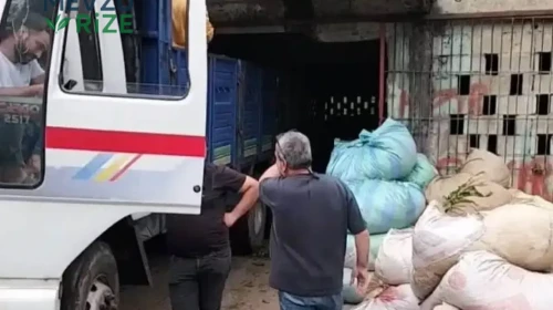 Çay Üreticilerinden ÇAYKUR’a Talep: "Kontenjan Uygulaması Yerel Olsun!"