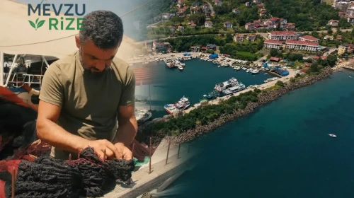 Balık Avı Sezonu İçin Geri Sayım Başladı: Av Yasakları Ne Zaman Kalkıyor?