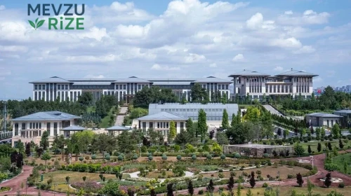 Faiz Oranlarına Kolay Erişim, Emeklilik Kapsamındaki Zorluklar Gündemde!