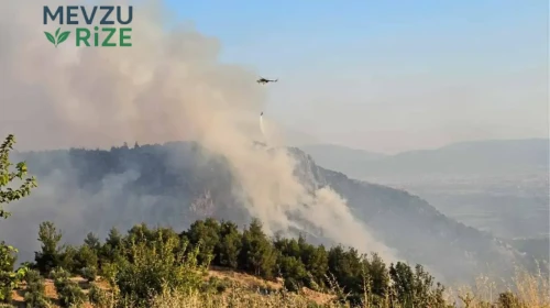 Denizli'deki Orman Yangını, 14 Saat Sonra Kontrol Altına Alındı