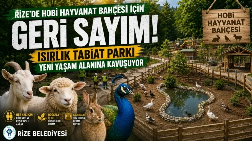 Rize'de Hobi Hayvanat Bahçesi İçin Geri Sayım! Isırlık Tabiat Parkı Yeni Yaşam Alanına Kavuşuyor