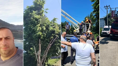 Rize'de Acı Olay: Ihlamur Toplarken Elektrik Akımına Kapılan Hasan Çataklı Hayatını Kaybetti