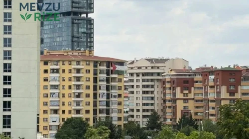 Ankara'da Trump'ın Konaklayacağı Otelin Önüne Filistin Bayrağı Çekildi