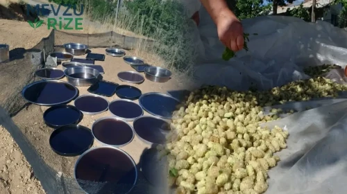 Malatya'da Dut Pekmezinin Kilosu İle İlgili Şaşırtıcı Fiyatlar Gündemde!