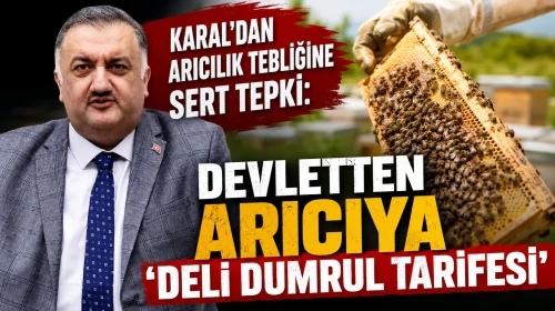 Karal'dan Arıcılık Tebliğine Sert Tepki: Devletten Arıcıya Deli Dumrul Tarifesi