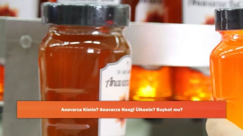 Anavarza Kimin? Anavarza Hangi Ülkenin? Boykot mu?
