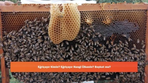 Eğriçayır Kimin? Eğriçayır Hangi Ülkenin? Boykot mu?