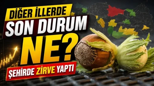 Fındık Fiyatları Bu Şehirde Rekor Kırdı! Diğer Şehirlerdeki Gelişmeler Neler?