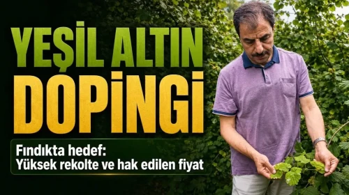 Fındıkta Yeni Sezon İle İlgili Üreticilerin Taban Fiyatı Beklentileri ve Tahlilleri!
