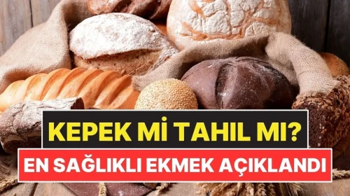 Kepekli mi Yoksa Tam Tahıllı mı? Sağlıklı Ekmek Seçimi Açıklandı!