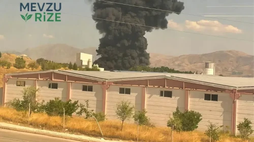 Elazığ'da Fabrika Yangını: Gökyüzünü Saran Yoğun Duman İçin İtfaiye Ekipleri Olay Yerinde!