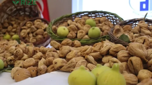 Aydın İncirinde Hasat Sevinci: Kilogram Fiyatı 850 TL'ye Ulaştı!