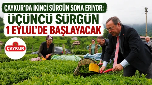 ÇAYKUR’da İkinci Sürgün Sona Eriyor: Üçüncü Sürgün 1 Eylül’de Başlayacak