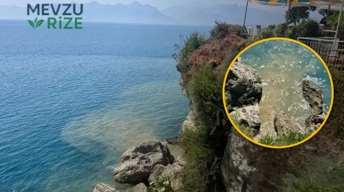 Dünyanın Dikkatini Çeken Parkta Korkutan Foseptik Sızıntısı: Denize Girenler Çözüm Arıyor!