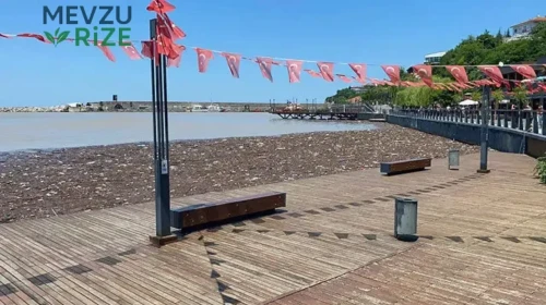 Zonguldak'ta Denize Girme Yasağı Kalktı: Plajlar Dolup Taşarken Yoğunluk Gözlemlendi