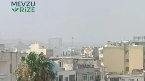 Şanlıurfa’yı Sardı: Kuzeyden Gelen Toz Bulutu Şehri Etkisi Altında Bıraktı