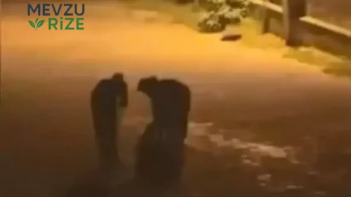 Başakşehir'de Cadde Ortasında Gerçekleşen Silahlı Saldırıda Genç Adam Ağır Yaralandı