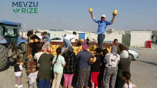 Hataylı Çiftçi, 5 TL'lik Teklif Yerine Depremzedelere 50 Ton Ürün Yardımı Yaptı!
