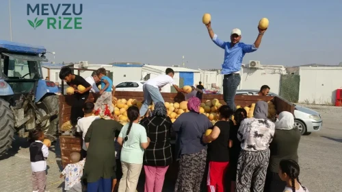 'Hayır Duaları Yeter' Diyen Çiftçiden Depremzedelere Kavun Desteği!