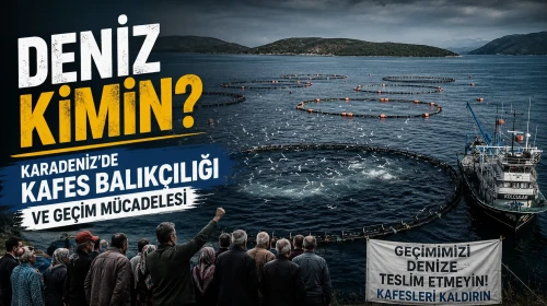 Deniz Kimin? Karadeniz’de kafes balıkçılığı ve geçim mücadelesi