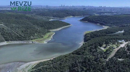 Kritik Düzeyde: İstanbul Barajlarındaki Doluluk Oranı Hala Azalıyor