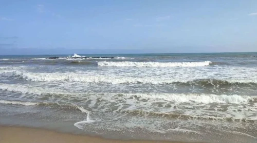 Kocaeli ve Sakarya'nın Belirli Plajlarında Denize Giriş Yasağı Uygulandı
