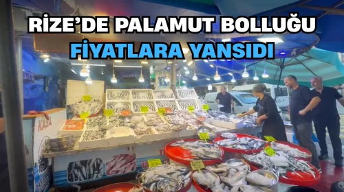 Rize'de palamut bolluğu: Küçük 50 TL, büyük 100 TL!