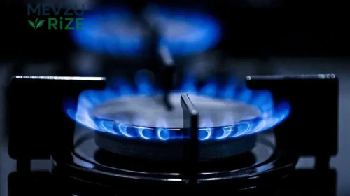 Bakan Göktaş'tan Açıklama: Doğal Gaz Desteği 1 Milyar Lirayı Geçti!