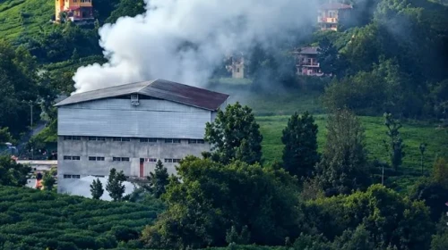 Çayeli’ndeki Çay Fabrikasında Yangın: Çalışanlar Dumandan Etkilendi