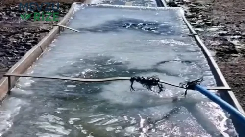 Kars'ta Soğuk Hava Etkisini Gösterdi: Yalaklar Dondu!