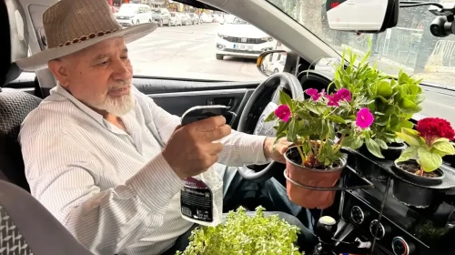 Taksiciye Sürpriz: Araç İçinde Mini Seranın Keyfini Çıkarıyor!