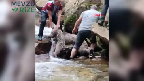 Dere kenarındaki kayalıklara sıkışan bozayıyı vatandaşlar kurtardı